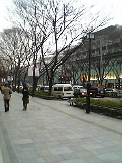 e0019320_02282.jpg