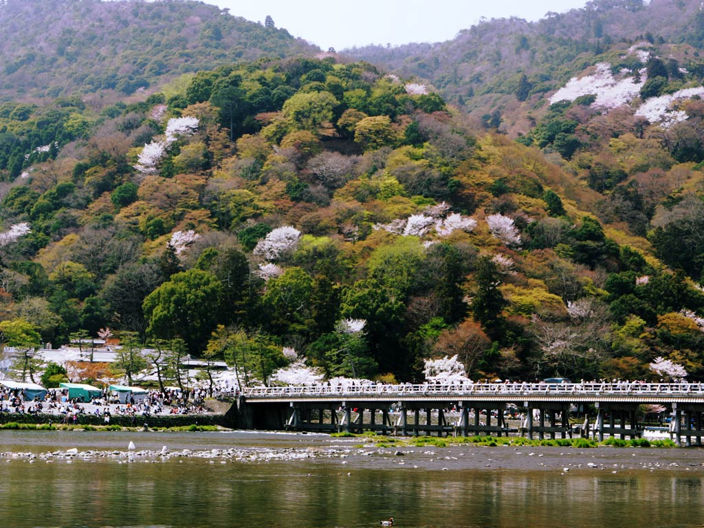 京都嵐山のさくら_f0035323_349634.jpg
