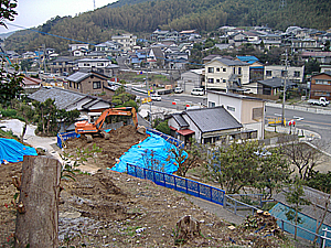 sakura開花宣言_f0035333_2221065.jpg