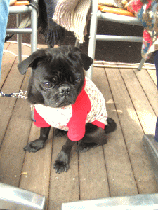 b0035453_1112284.gif