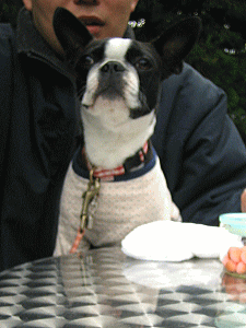 b0035453_1153839.gif