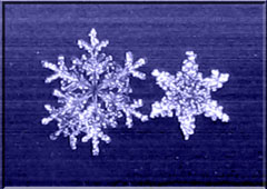 f0083977_23362078.jpg