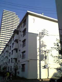 c0025481_23355053.jpg