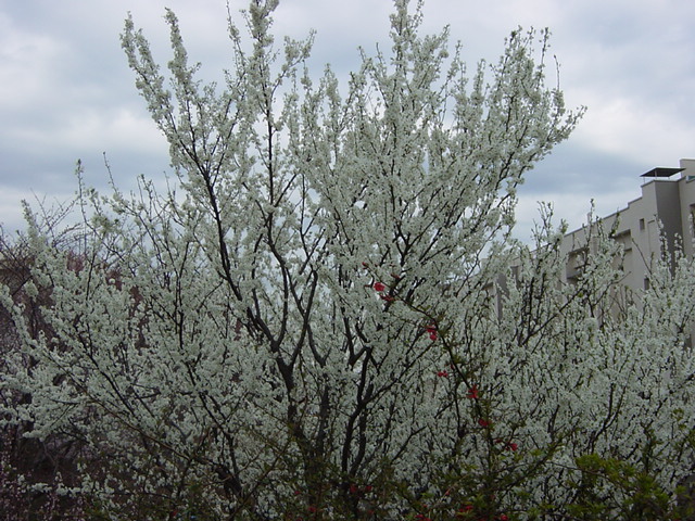 e0028401_1627439.jpg