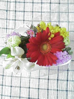 f0051101_1041221.jpg