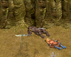 e0004726_10113169.gif