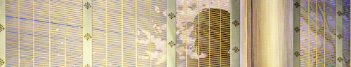 c0073742_2327964.jpg