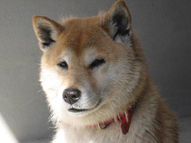 抜けてる真っ最中に。。。_c0049950_22385057.jpg