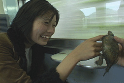 f0097002_2233838.gif
