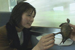 映画「無垢なモノ MY SIMPLE THINGS」制作ノート③_f0097002_22341488.gif