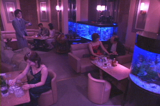 f0097002_2323692.gif