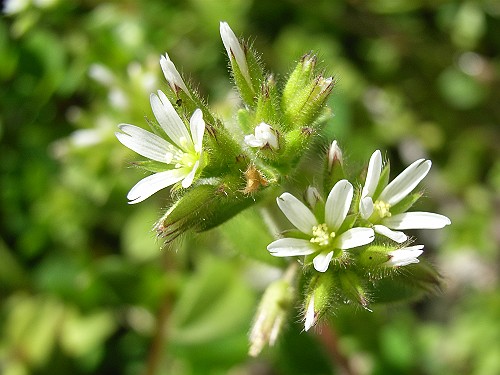 e0074308_2143291.jpg
