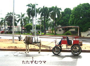 e0028810_05937.jpg