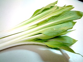 f0043911_0475671.jpg