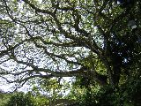 b0053414_21585429.jpg