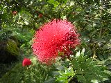 b0053414_21591447.jpg