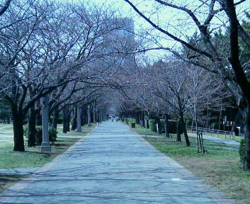 c0038524_005852.jpg