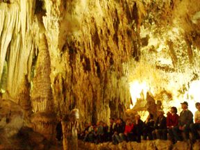 2006/3/23-25 Carlsbad Caverns National Park - Expedition 2_e0087035_1341856.jpg