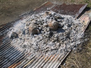 土の子陶房・野焼きに参加しました_a0030594_20463530.jpg