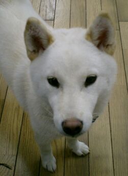 a0032004_14914.jpg