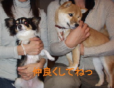 f0004309_18176.jpg