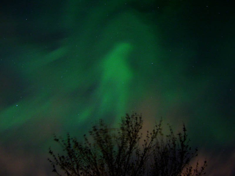 e0015113_23132.jpg