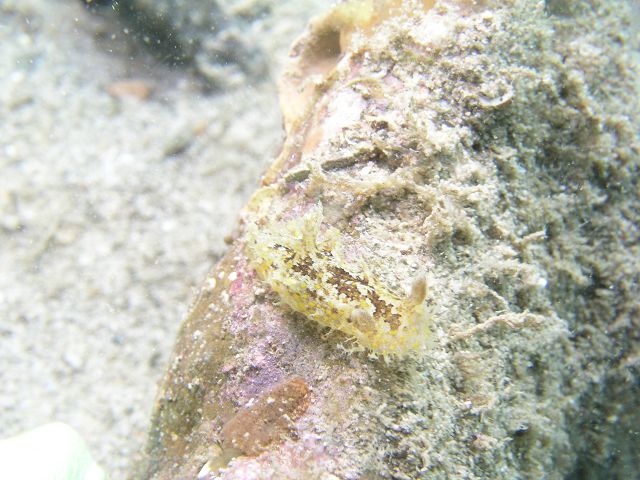 f0046614_1355276.jpg