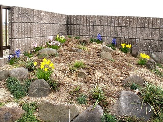 e0072023_1426343.jpg
