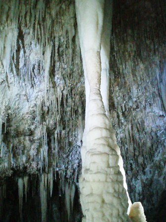 2006/3/23-25　Carlsbad Caverns National Park - Expedition 3_e0087035_1511375.jpg