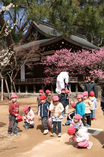 京都北野天満宮の梅-1_a0031741_17112529.jpg