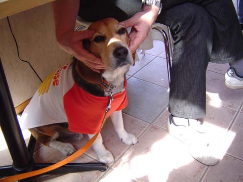 a0042044_00621.jpg