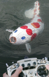 ★水質をモニターするコイ型ロボットが公開される!!(◎_◎;) _f0100060_8522925.jpg