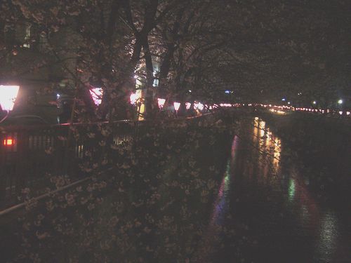 目黒川の夜桜さんぽ。:☆.。†_a0053662_23103763.jpg