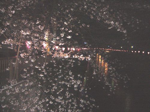 目黒川の夜桜さんぽ。:☆.。†_a0053662_23104750.jpg