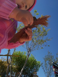 e0028272_5582458.jpg