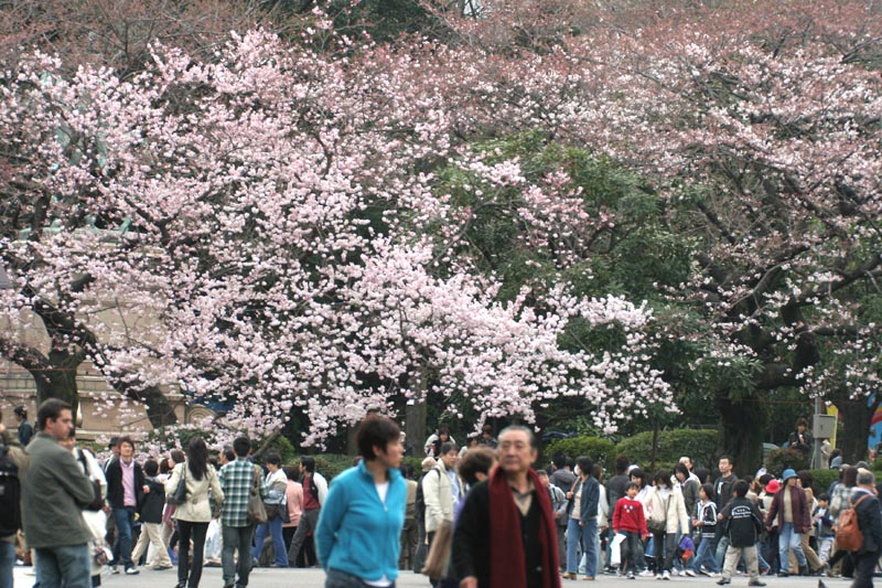 c0009475_23382677.jpg