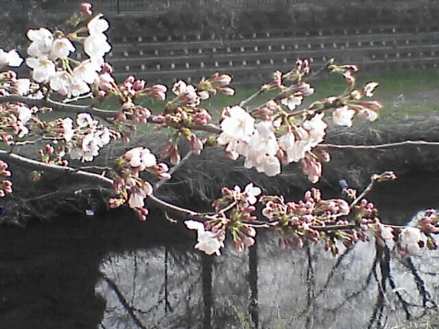 c0069380_208212.jpg