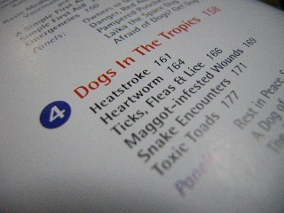 「SINGAPORE DOGS」から熱帯に暮らす犬の心得。_f0032184_23221973.jpg