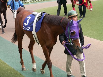 ハーツクライがドバイシーマクラシック（GI）制覇、ユートピアが