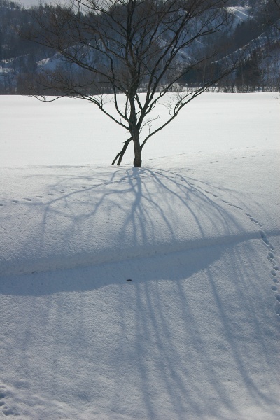 冬のち春_e0051186_18132614.jpg