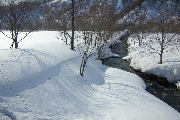 冬のち春_e0051186_1813813.jpg