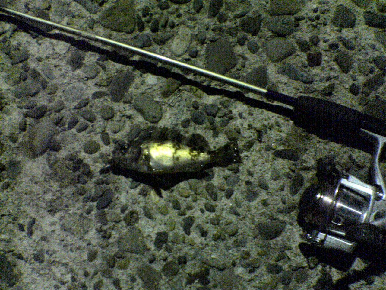 f0035404_21361855.jpg