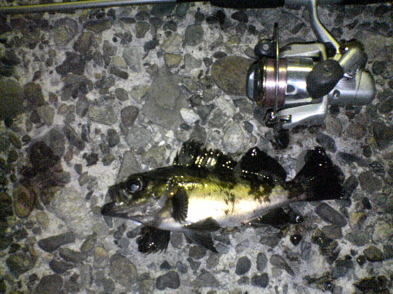 f0035404_21363625.jpg