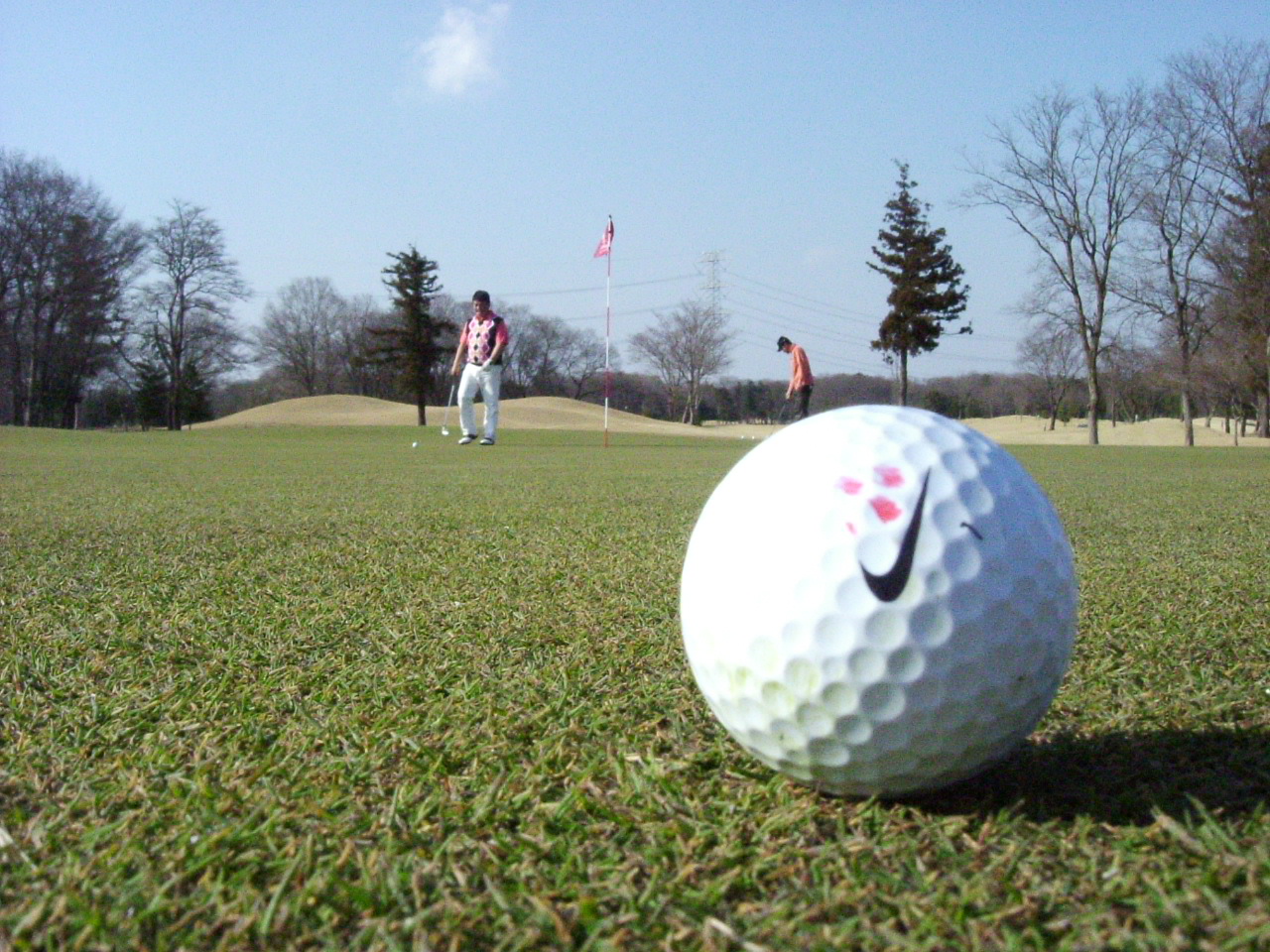 f0030706_8274090.jpg