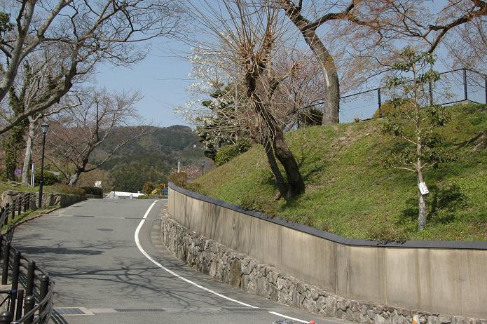 太宰府小学校_a0042310_17535174.jpg