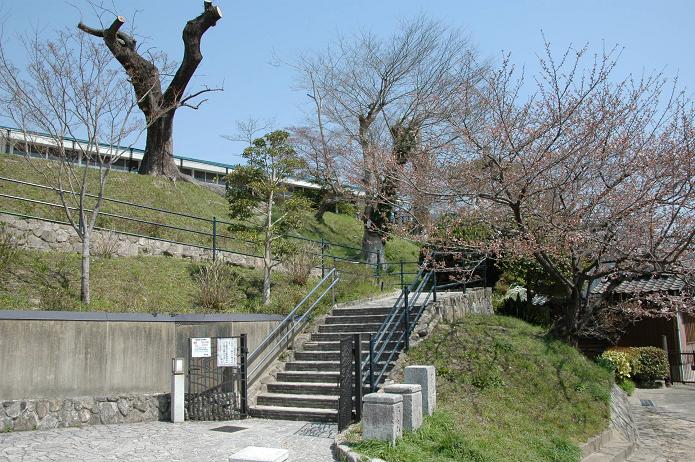 太宰府小学校_a0042310_17543076.jpg