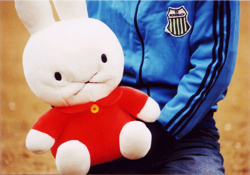 b0033612_1213.gif