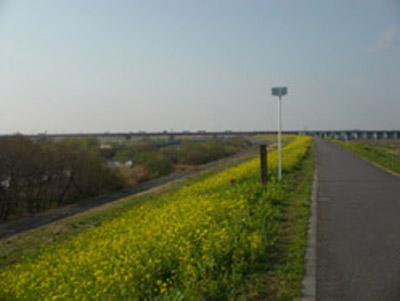 c0000718_1641514.jpg