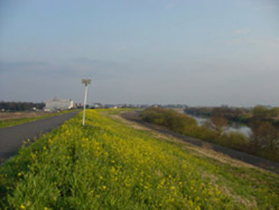 c0000718_16443295.jpg