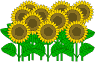 a0045932_1018277.gif
